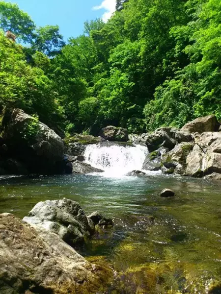 源流釣りを楽しむ