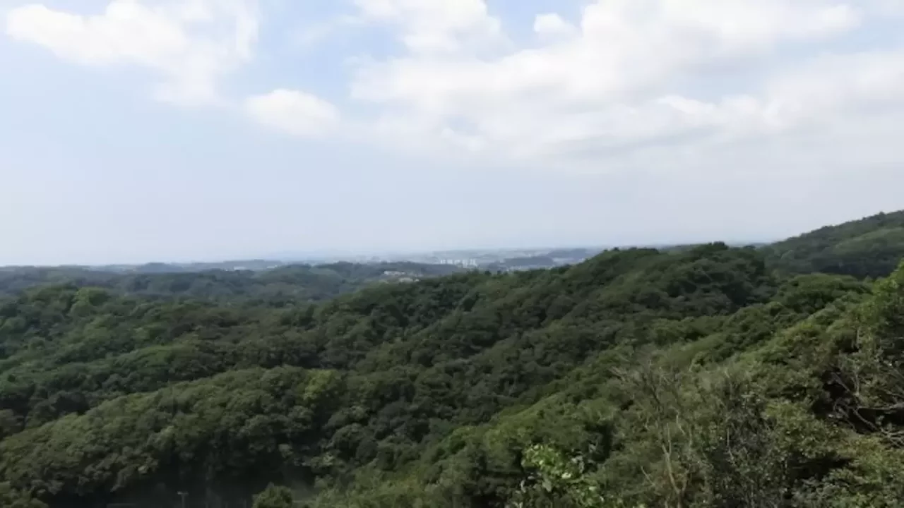 ご当地アルプス 鎌倉アルプス