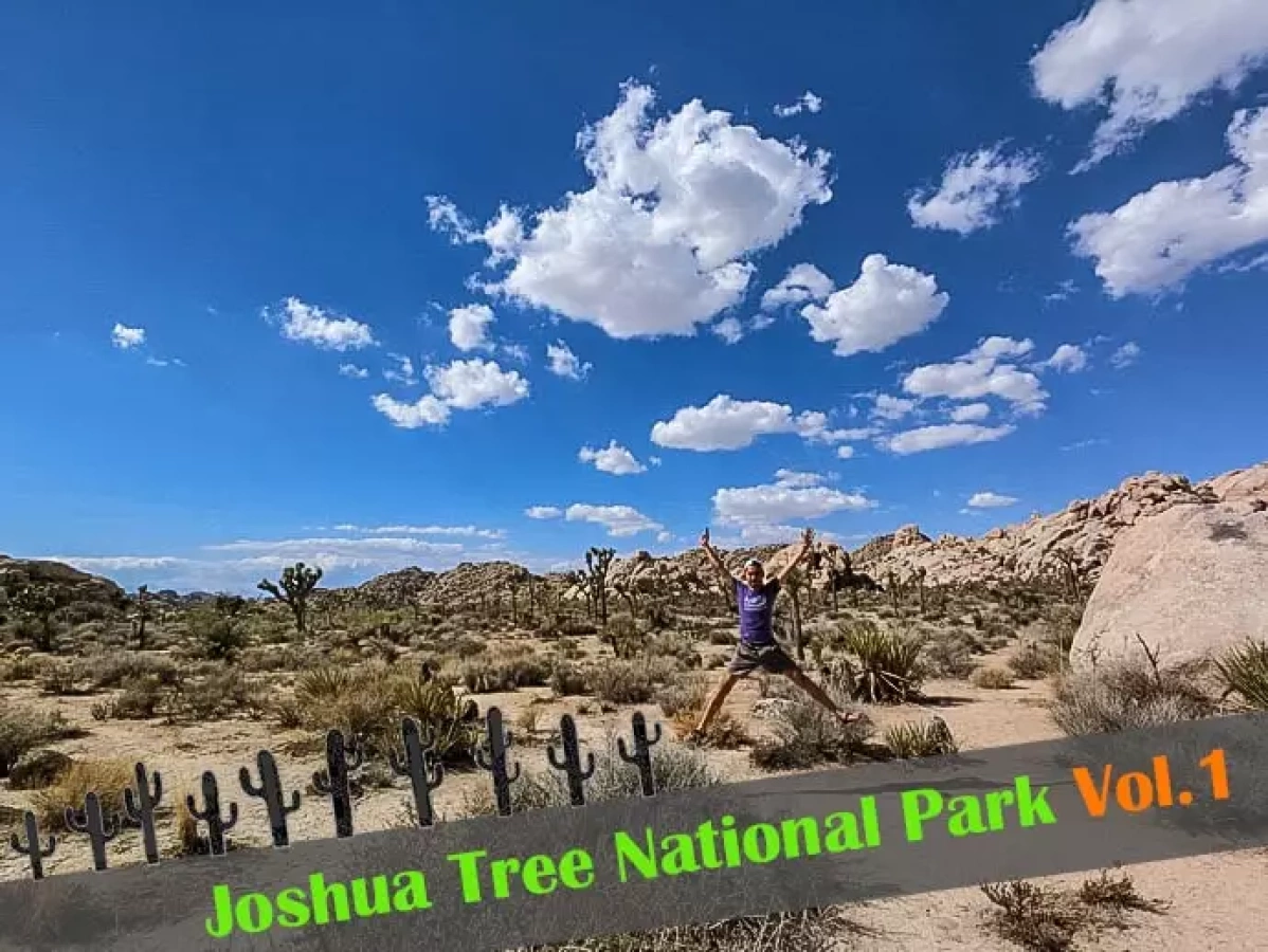 『ジョシュア・ツリー国立公園』入場方法とトレイルの楽しみ方