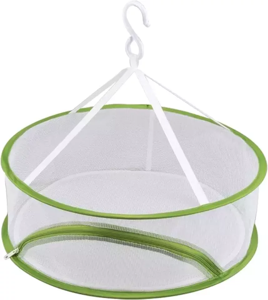 乾燥している冬にドライフルーツを作ってみよう