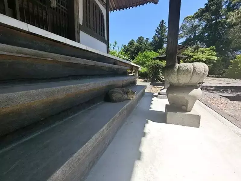 東海道五十三次 小夜の中山