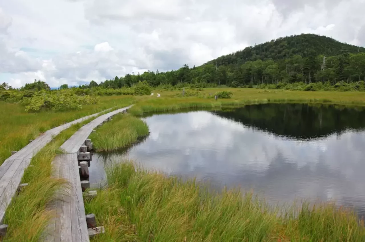 鬼怒沼トレッキングのコースと難易度