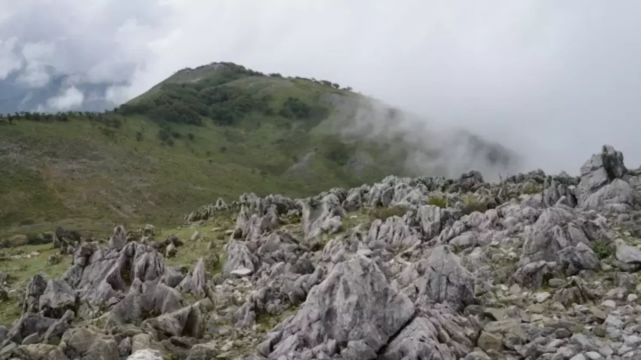 関西 登山 霊仙山