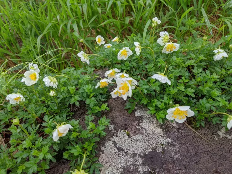 月山リフト分岐