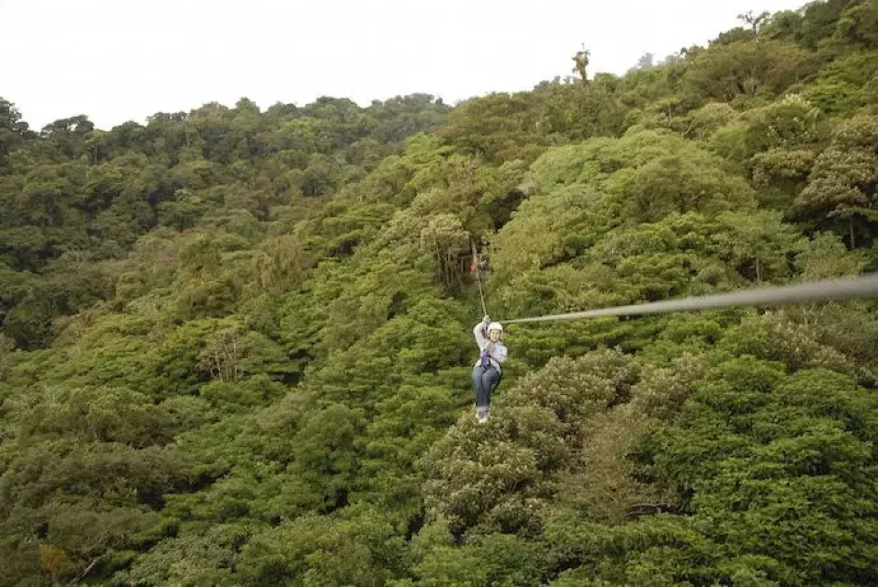 ツリーピクニック アドベンチャー いけだ メガジップライン