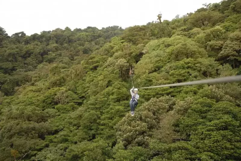 ツリーピクニック アドベンチャー いけだ メガジップライン