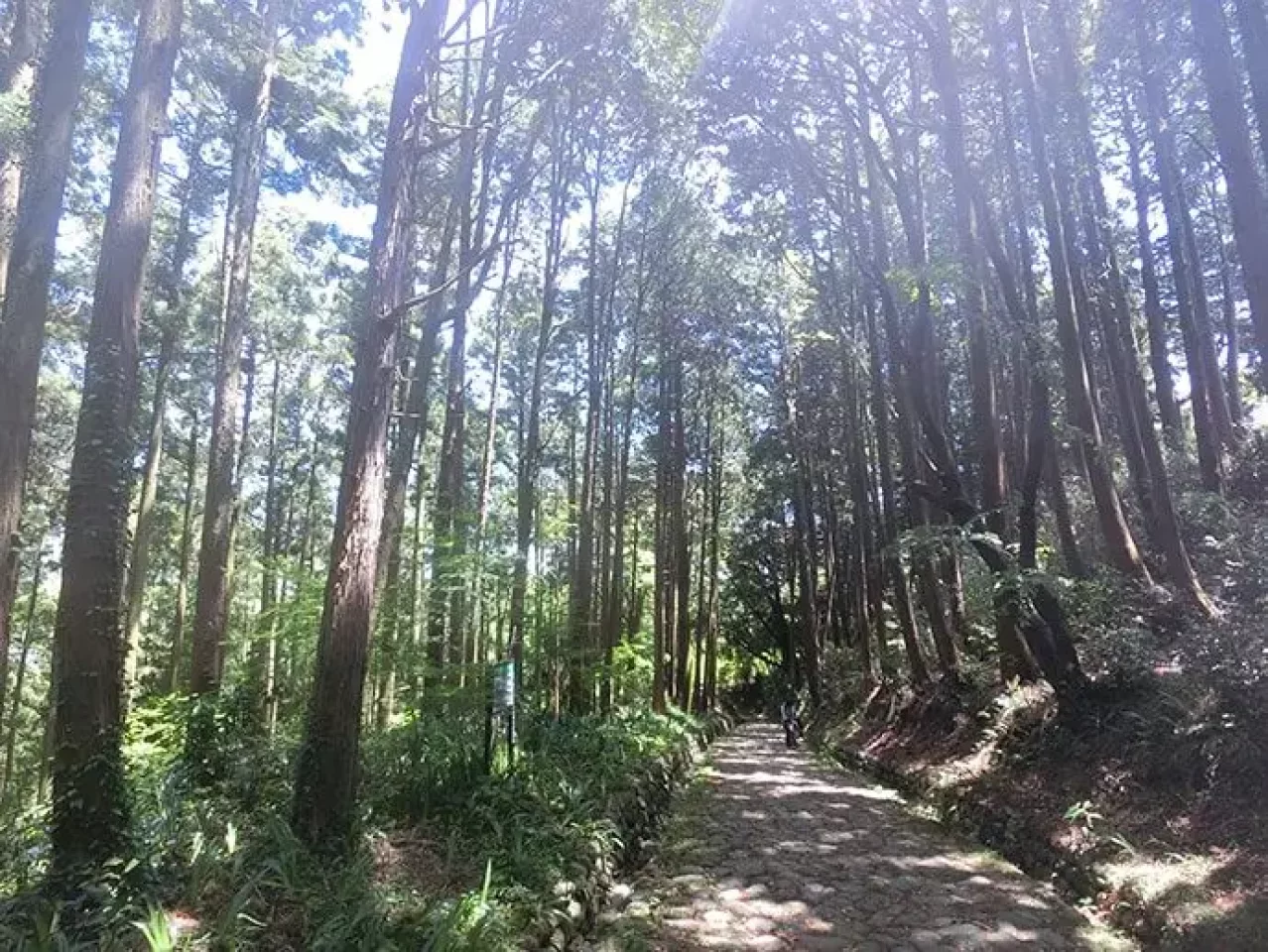 石畳『金谷坂』