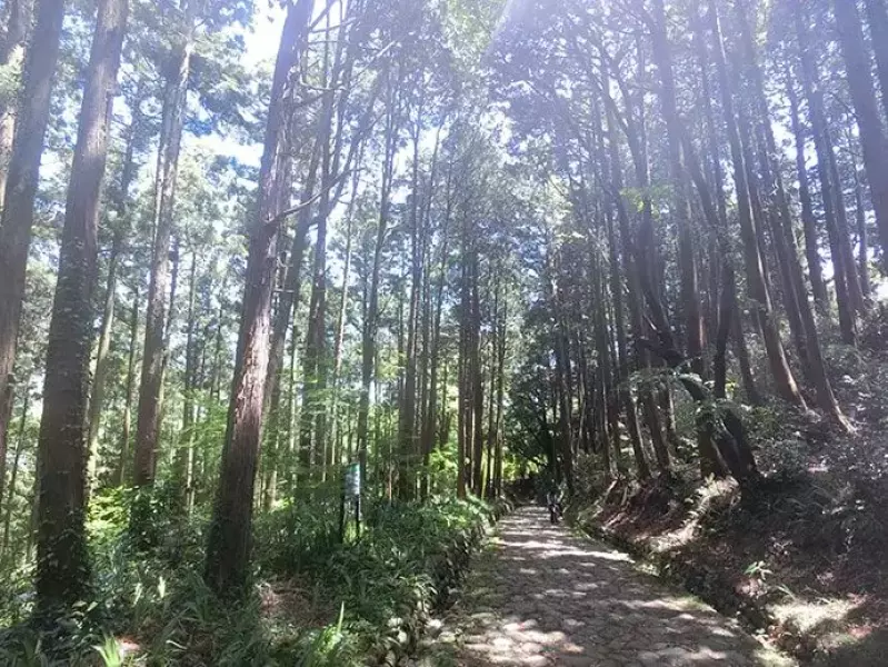 石畳『金谷坂』