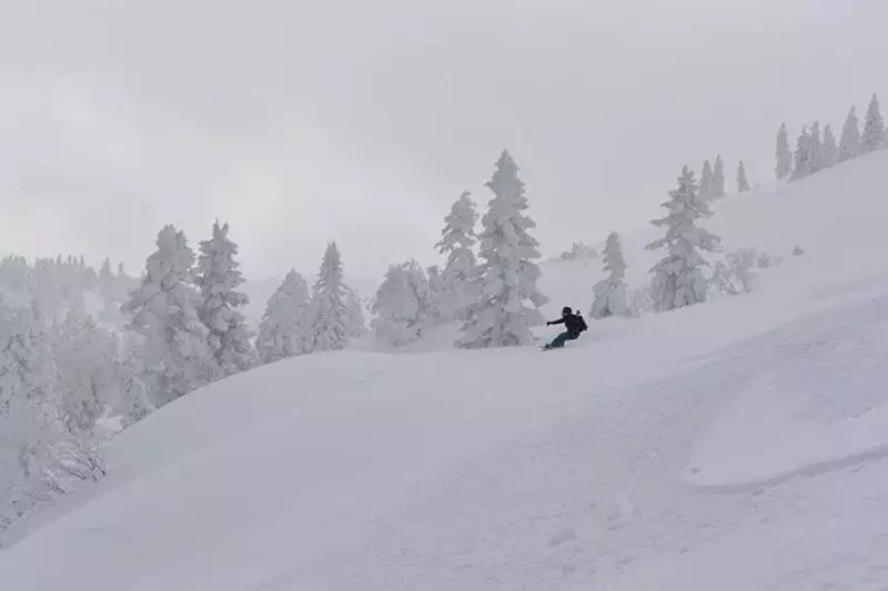 八甲田山荘からの山便り