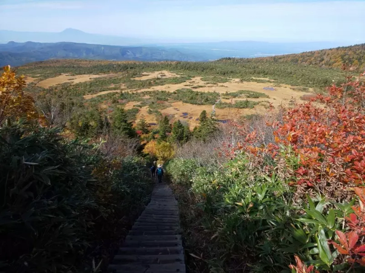【日帰り登山】八甲田山登山‐初心者から楽しめる難易度別ルート紹介