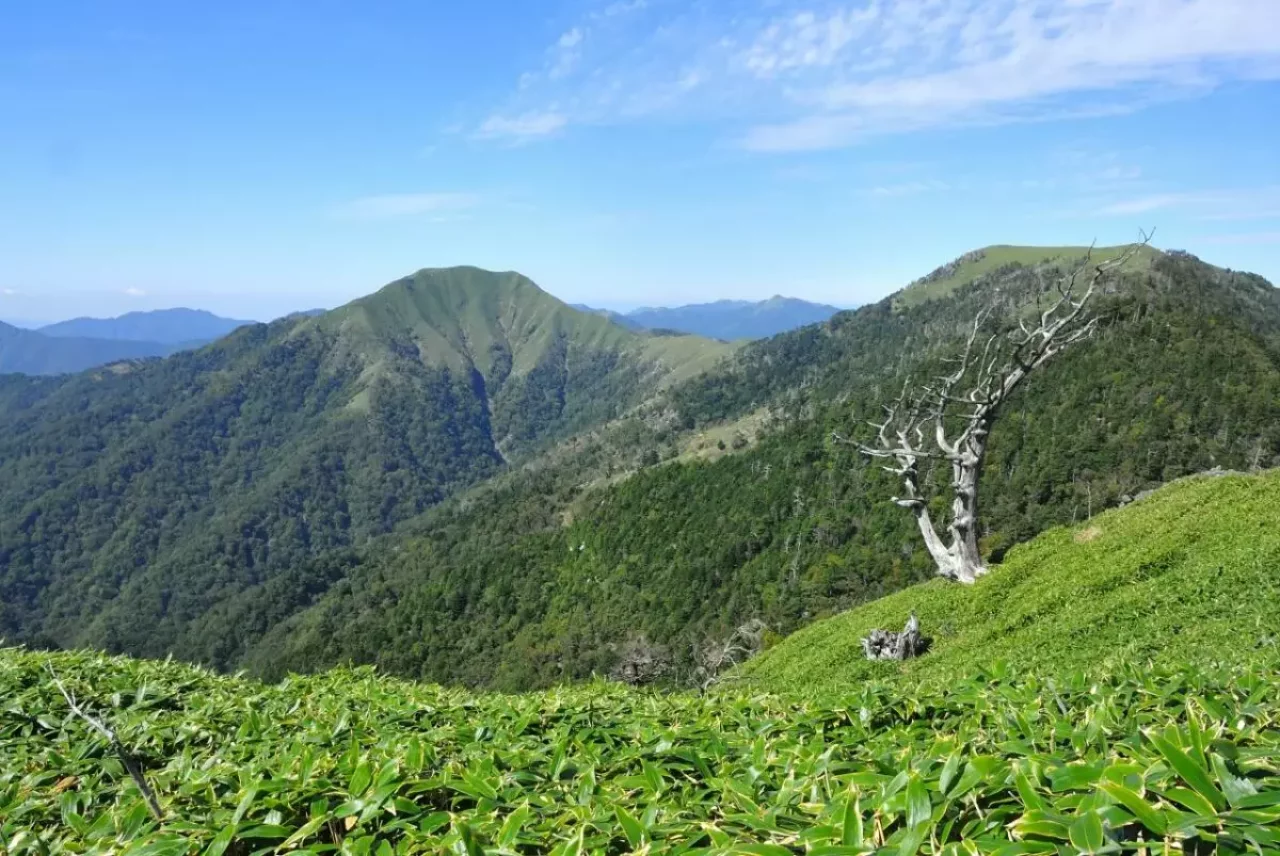 一の森から剣山、次郎岌を見た景色
