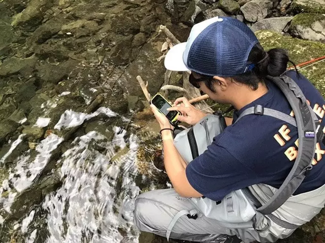 TORQUEG03で撮影する水中写真