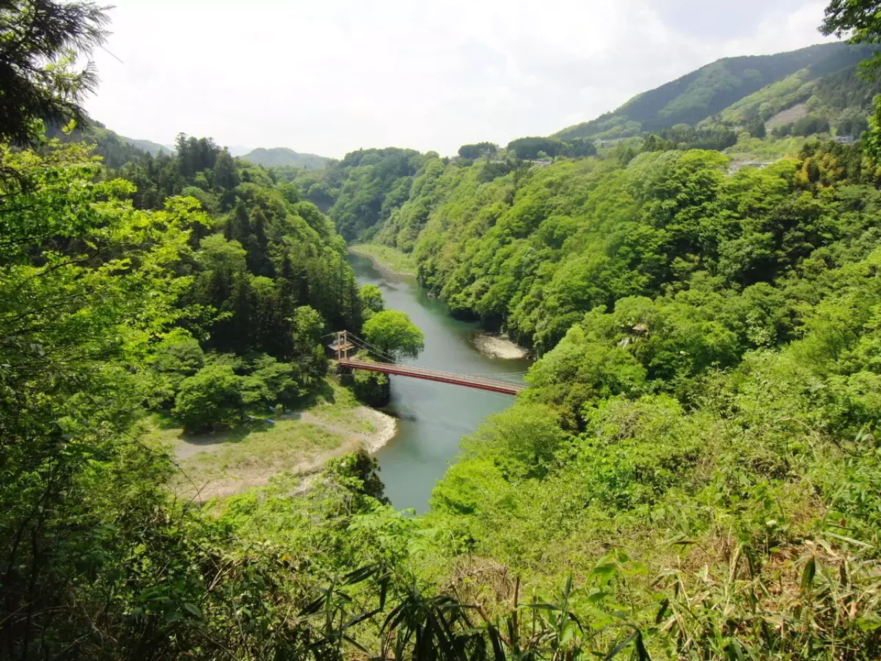 景信山 登山 眺望