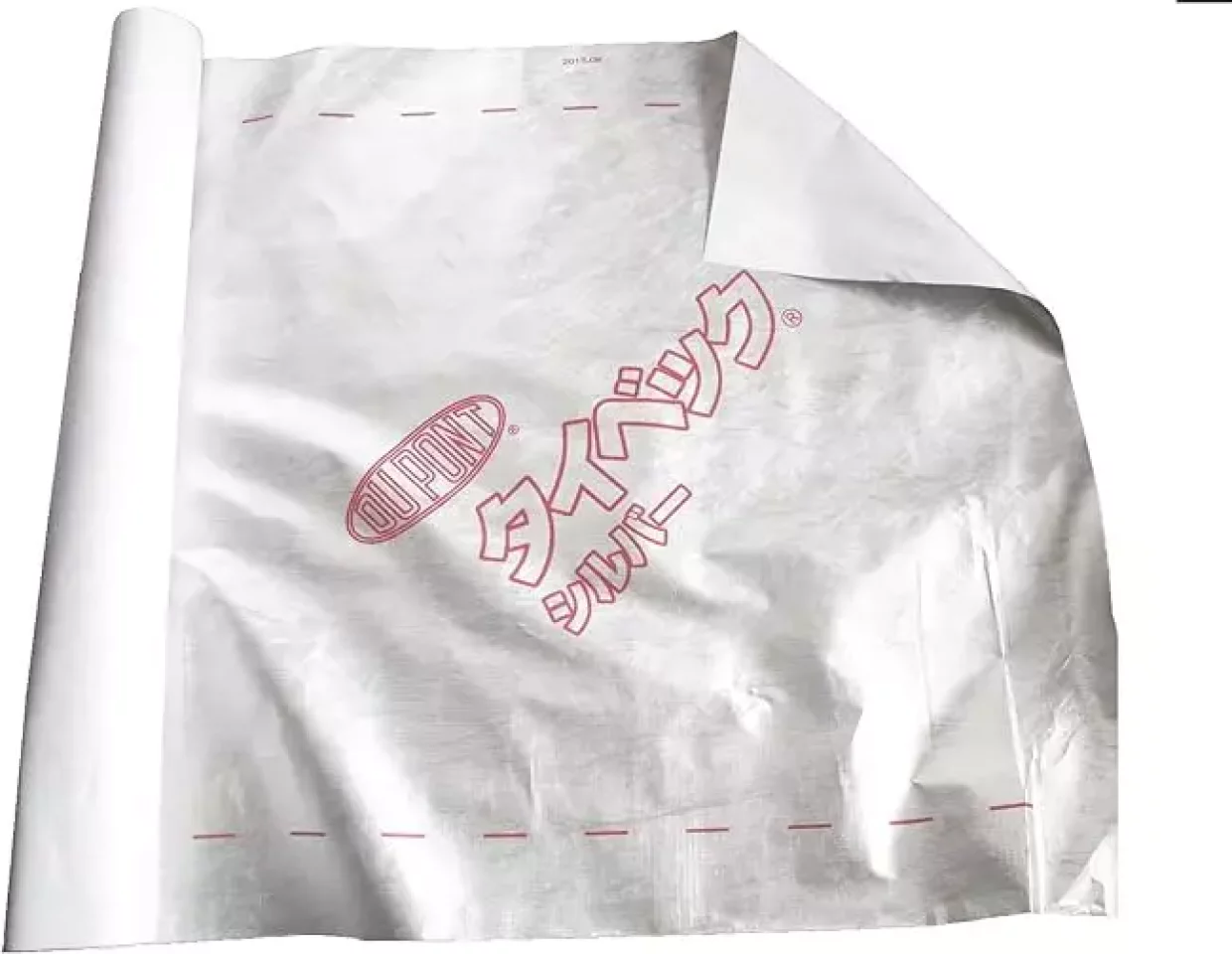 燕岳 テント泊 おすすめアイテム タイベック