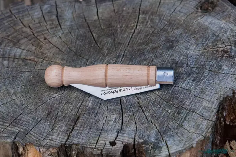 切れ味抜群・先の尖りが◎-スイスアドバンスのペニーナイフ