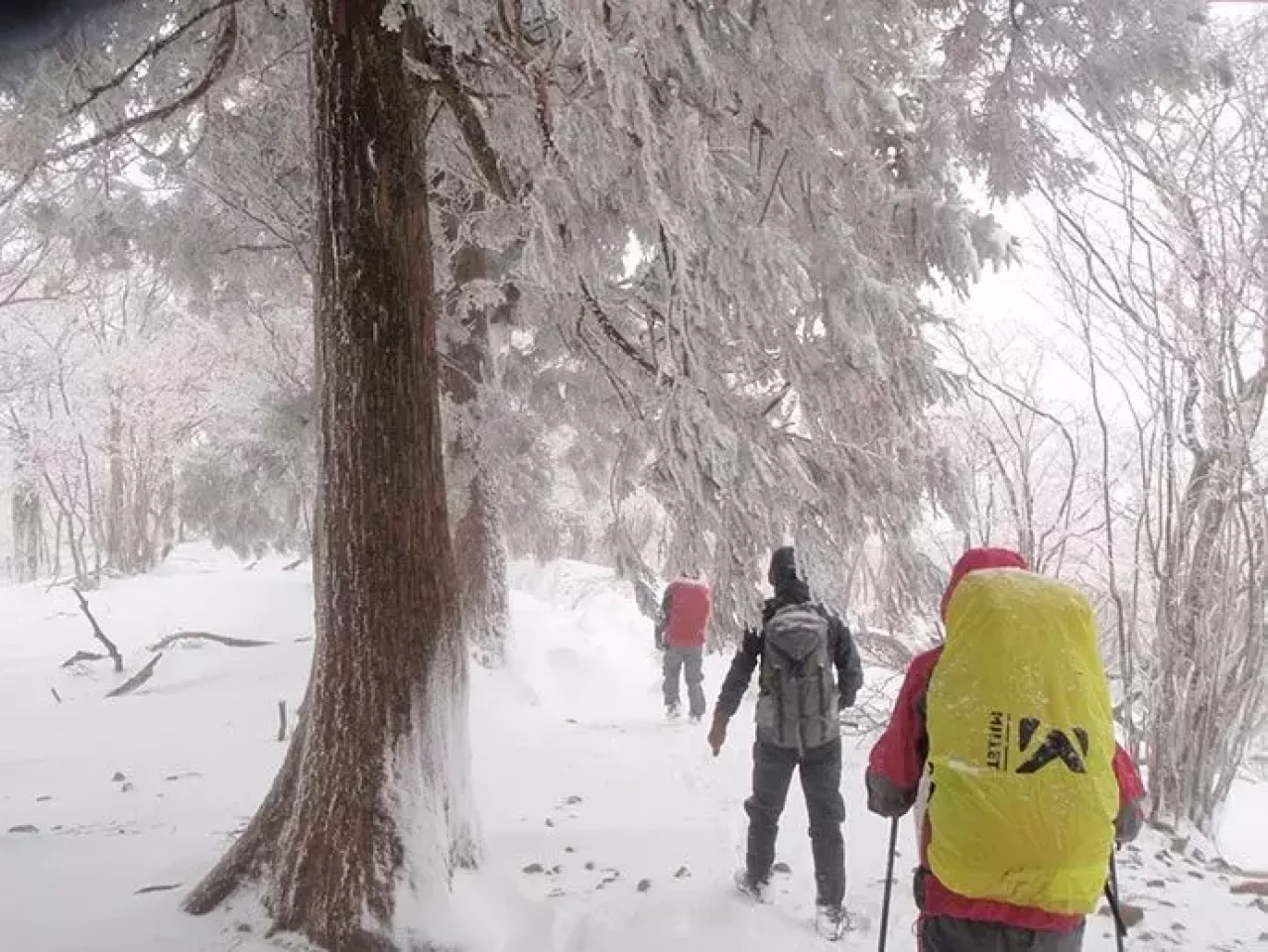 安心登山勉強会