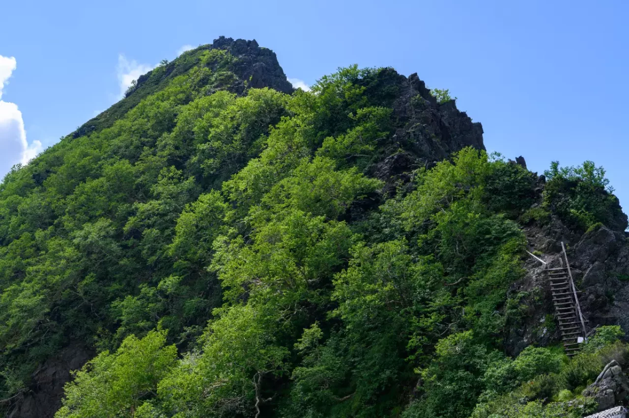 八本歯のコルのハシゴ