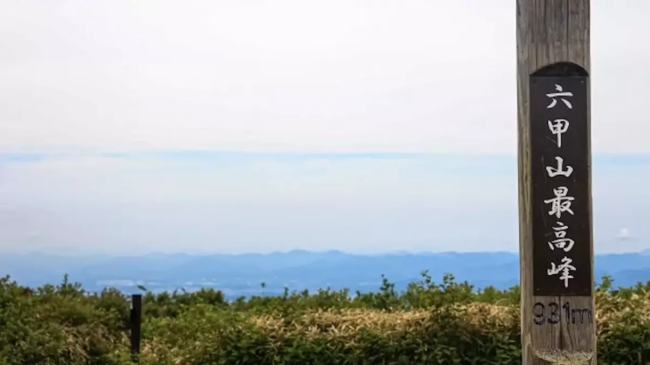 六甲山 登山 紅葉 山頂