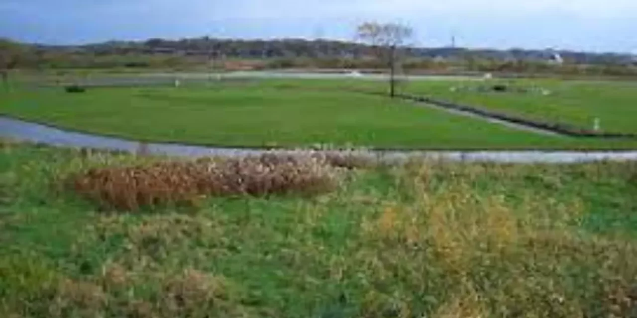 富川さるがわせせらぎ公園