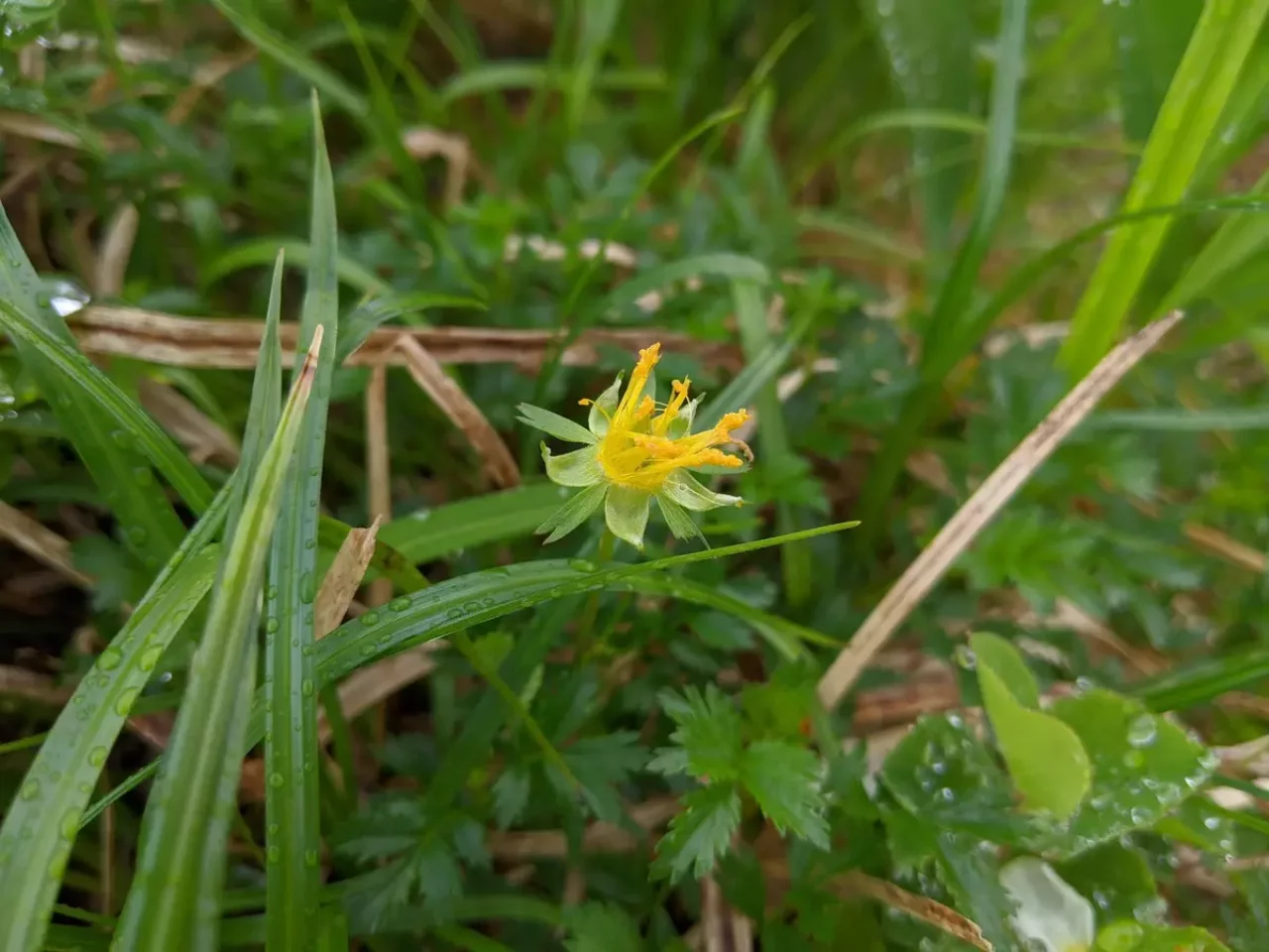 月山リフト分岐