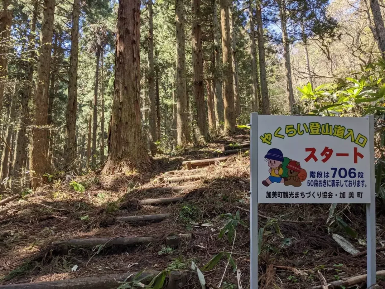 薬莱山の登山道 木の階段のはじまり
薬莱山 登山