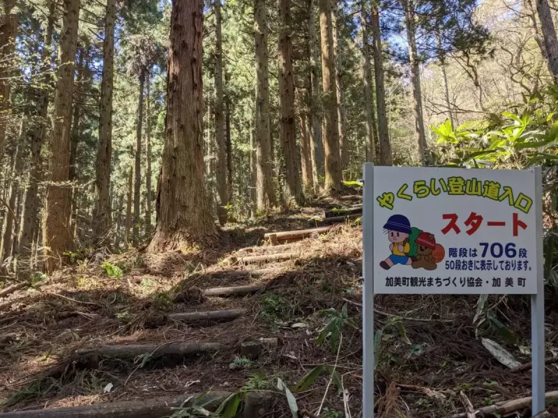薬莱山の登山道 木の階段のはじまり
薬莱山 登山