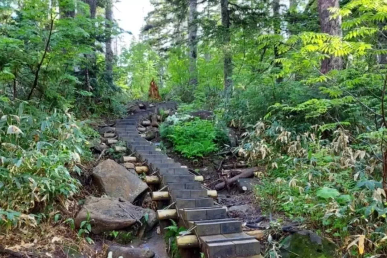 笹ヶ峰登山口から進む、整備された登山道