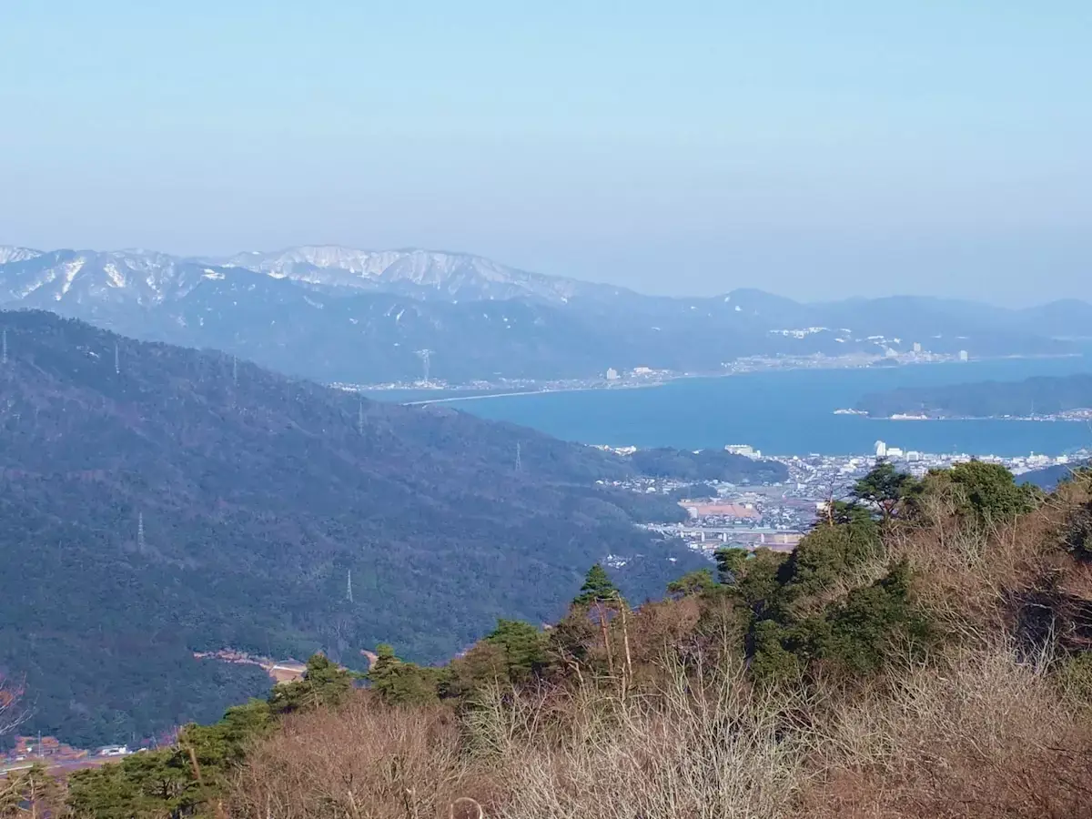 花いっぱい!早春の杉山を歩こう 4 月6日開催 花の百名山 大江山を歩く