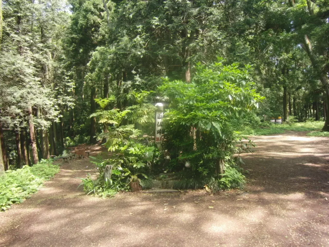 景信山 登山 小仏峠