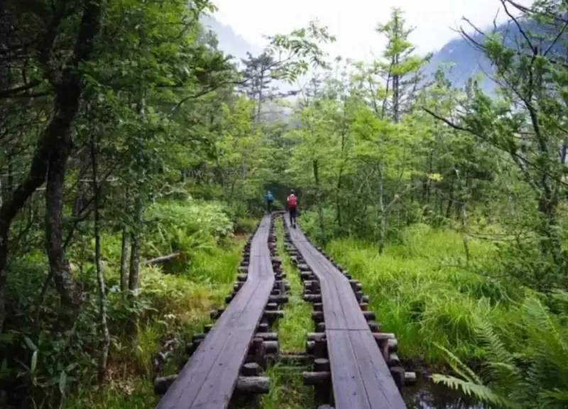 上高地から岳沢を経由し奥穂高岳へ