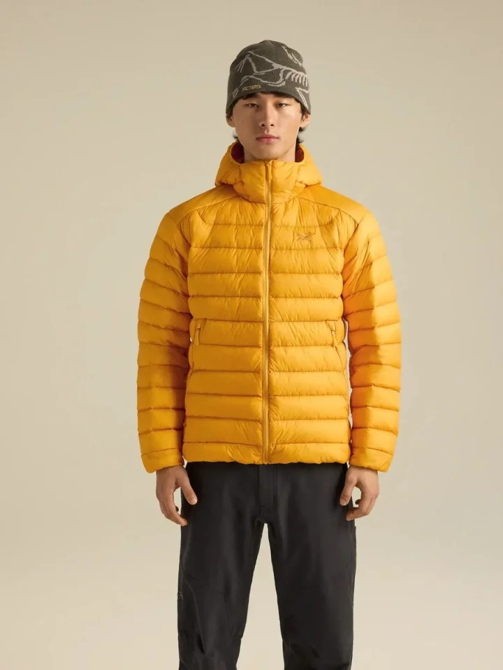 ARC'TERYX セリウム フーディ メンズ