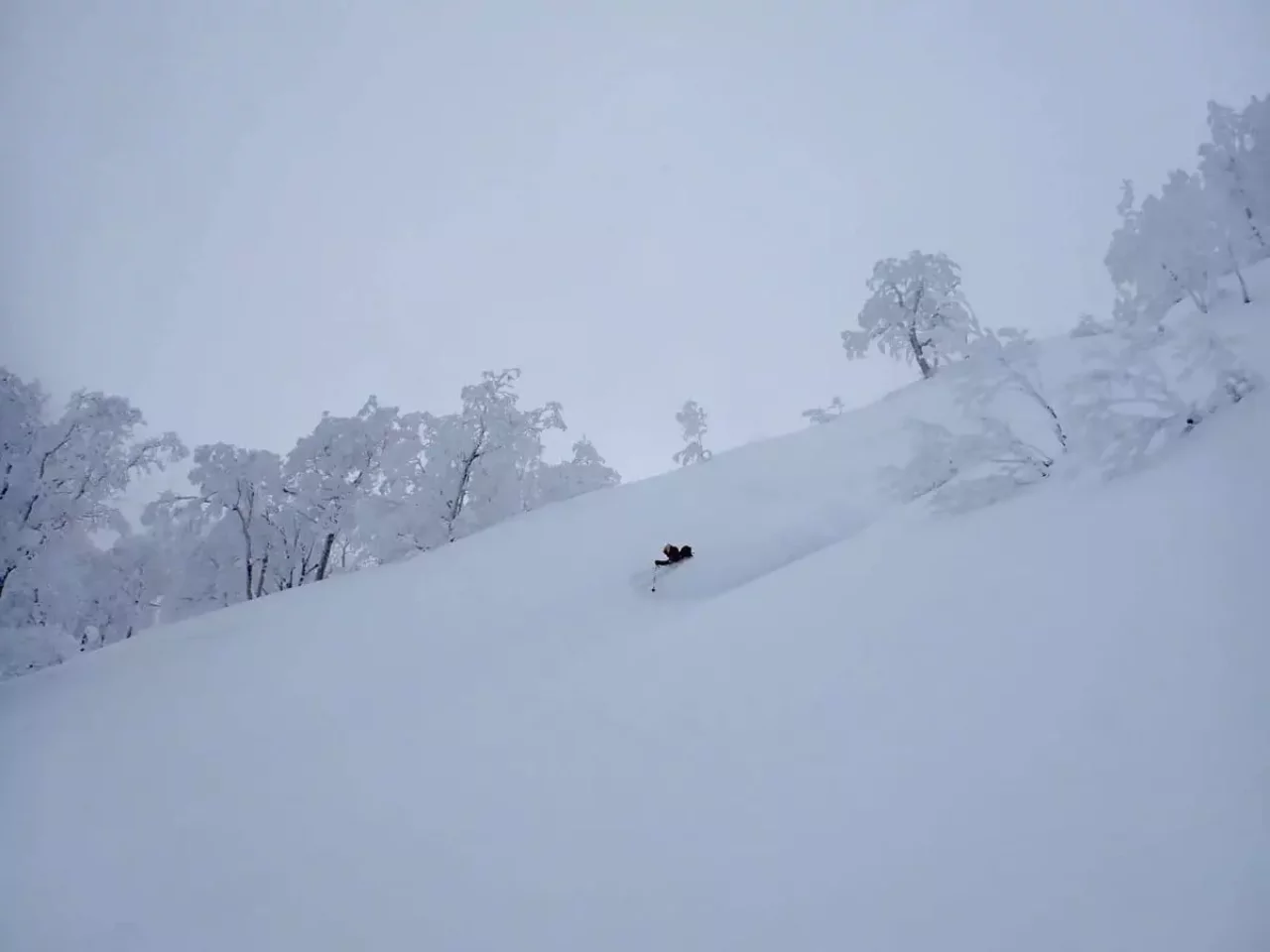 バックカントリースキー