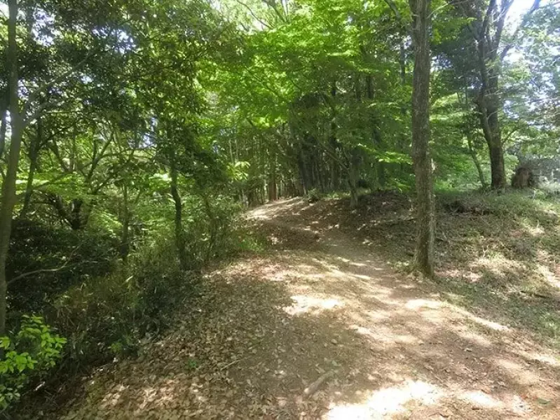 諏訪原城