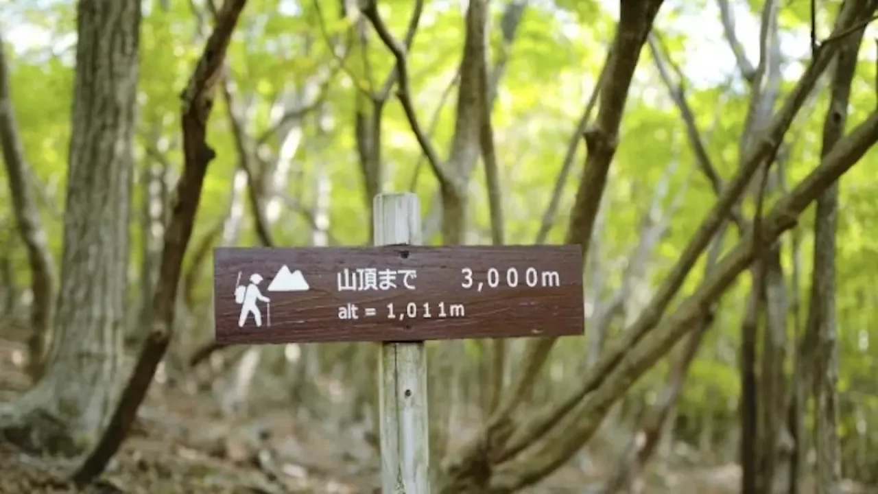 由布岳登山 由布岳正面口登山ルート