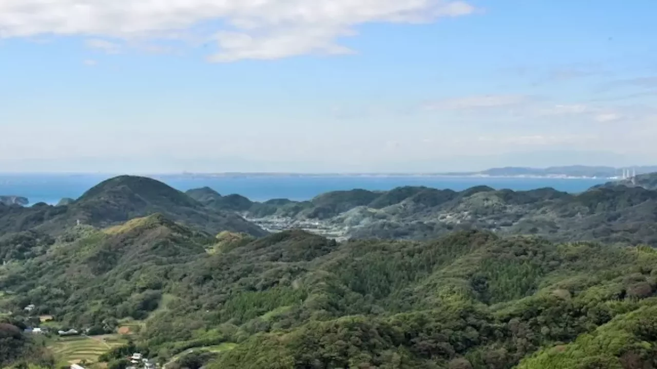 千葉 登山 里山