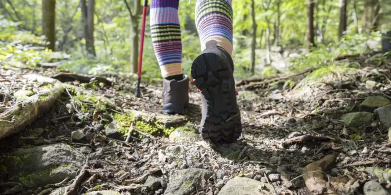標高変化の体験