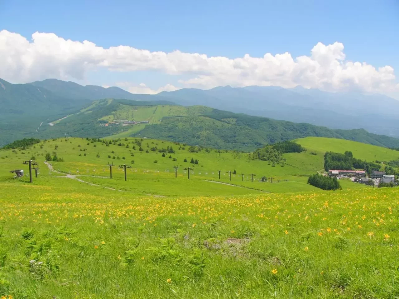 霧ヶ峰 登山 ニッコウキスゲ
