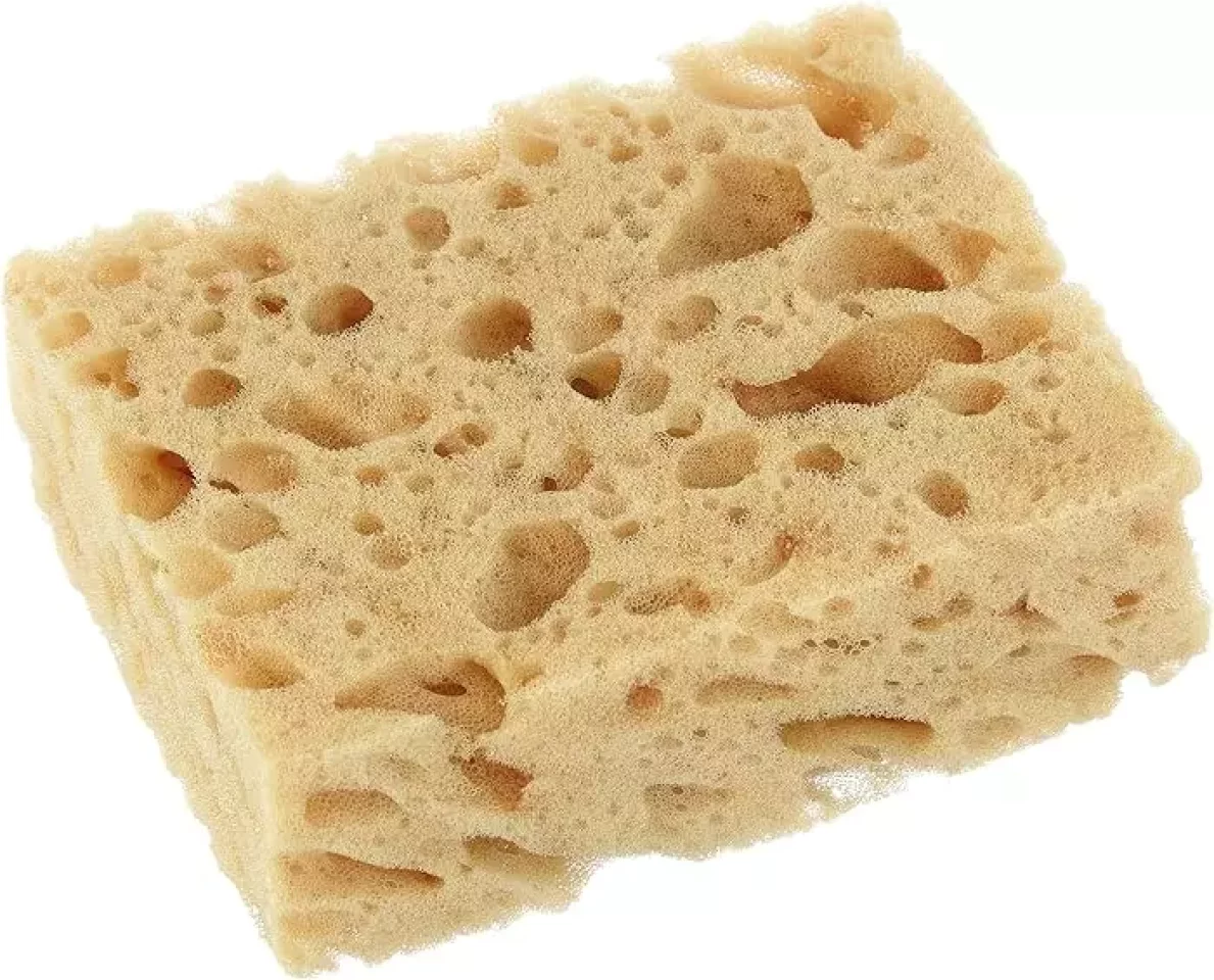 ステップ2:スポンジやブラシなどを使って水洗い