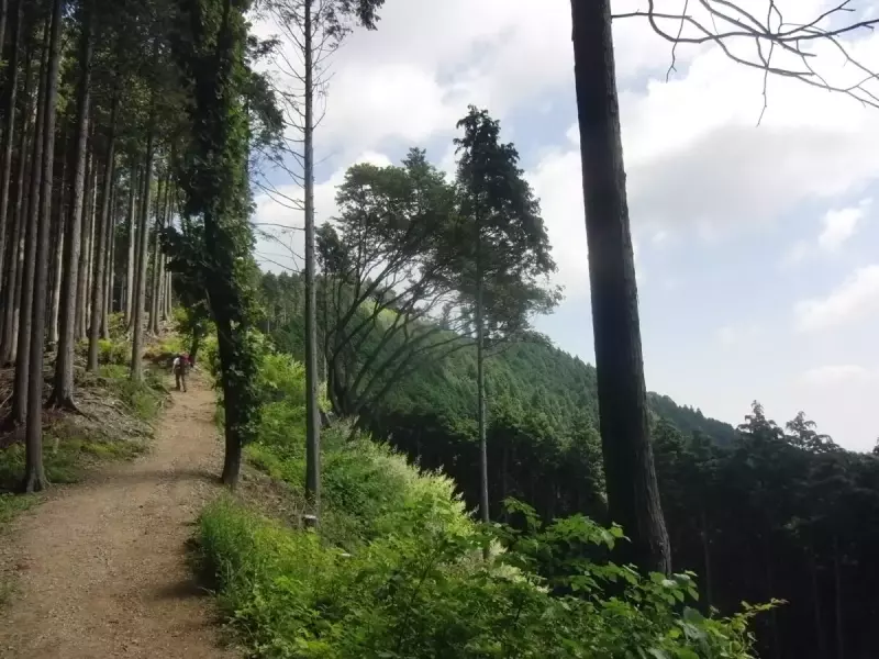 縦走登山 おすすめ 登山道