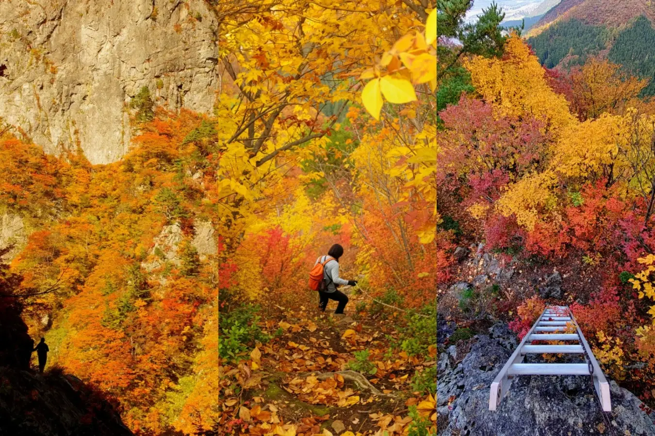 【裏巻機渓谷×古峰山】10/30〜11/10 紅葉見頃予測と黄金リレープラン。