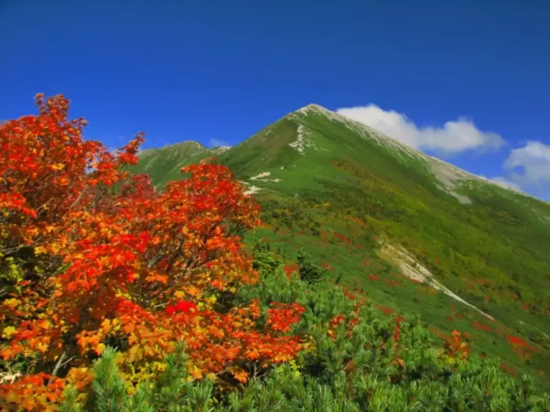 爺ヶ岳の紅葉