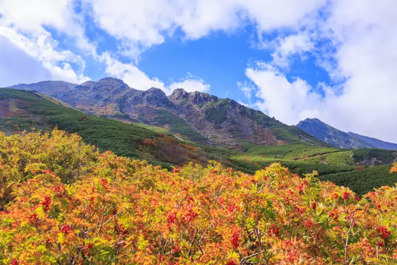 10月におすすめの紅葉登山20選!絶景登山ルート解説【錦秋の装いを見に行こう】|登山レポート|レポート|山のコト|登山・トレラン・山スキーマガジン「山旅旅」