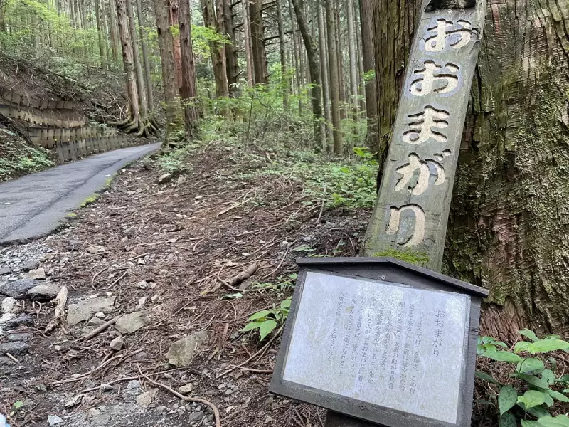 おおまがり 関東近郊おすすめトレイルランニングコース