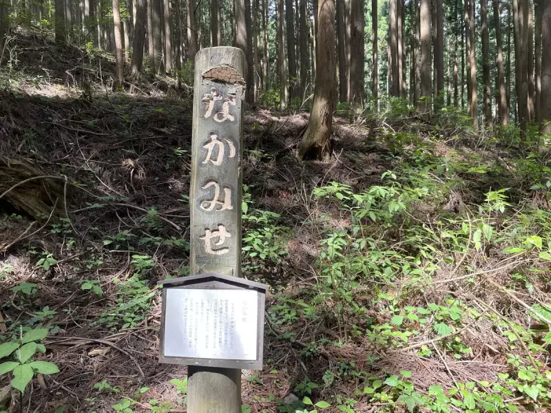 なかみせ 関東近郊おすすめトレイルランニングコース