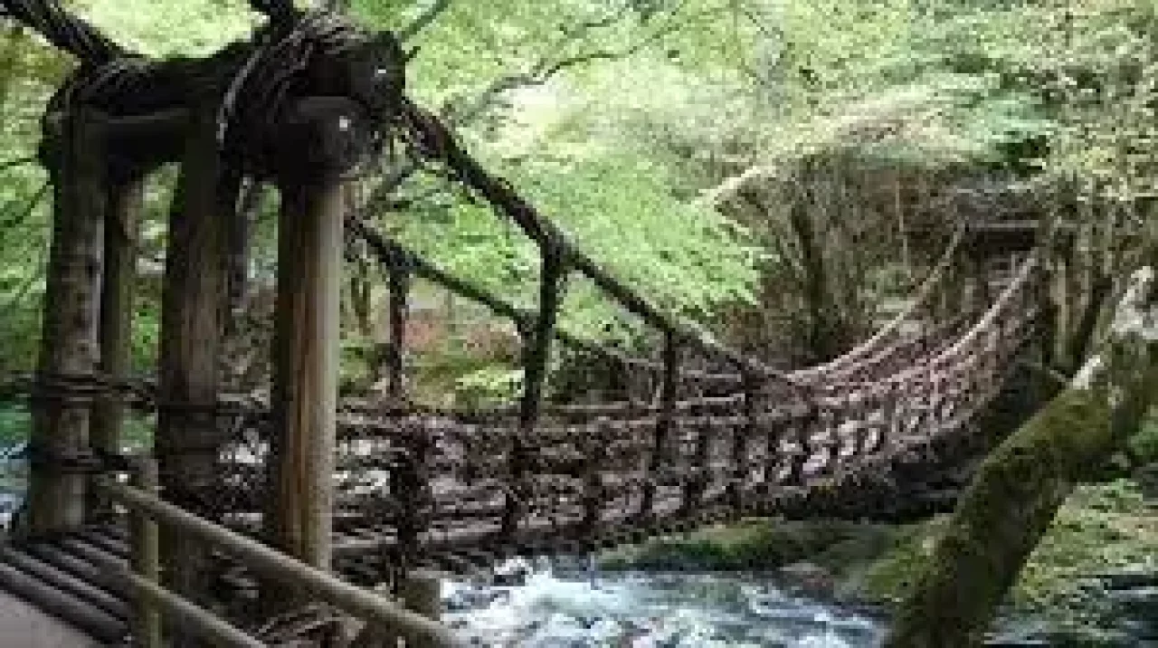 奥祖谷二重かずら橋