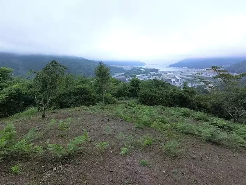 黒森山の頂上