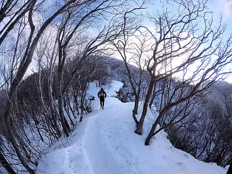 黒檜山山頂へと続くトレイル