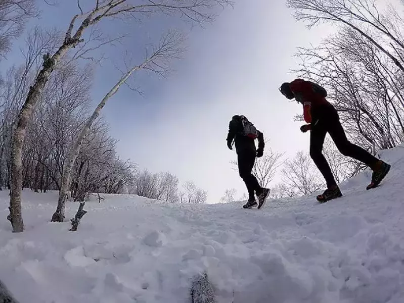 黒檜山の神秘的なトレイル