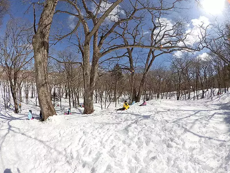 大人も子供もソリ遊び