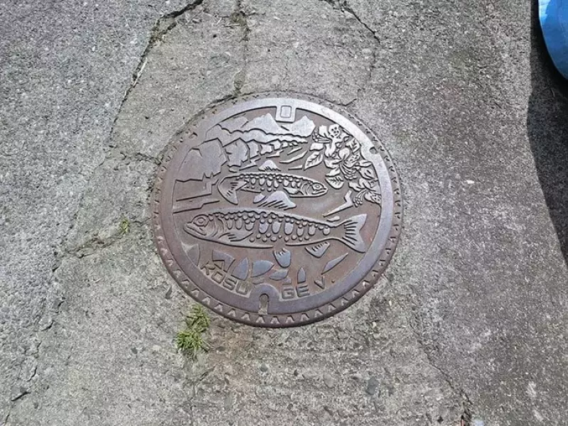 奥多摩のイワナ